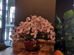 -COSTA COFFEE(斯普瑞斯奥特莱斯店)