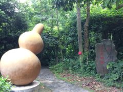 -广西壮族自治区药用植物园