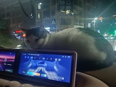 -深圳野生动物园