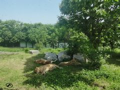 -西安秦岭野生动物园