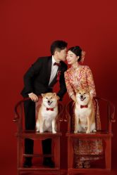 -CD视觉婚纱摄影