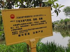 -白鹭湾湿地公园