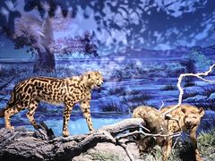 -国家自然博物馆