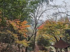 -莫干山风景区