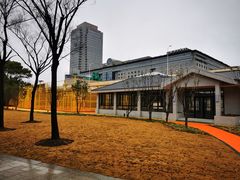 -新虹桥中心花园