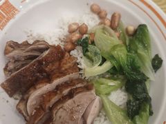 -创膳金牌烧鹅(棠下店)