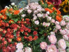 -循礼门鲜花花市(武汉循礼门店)