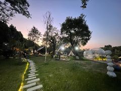 -Supine Bistro溯泮餐厅