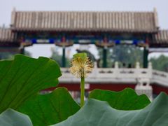 -西海子公园