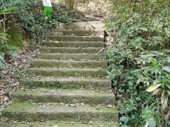 -西湖风景区-江洋畈生态公园