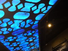 -bluefrog蓝蛙(水游城店)
