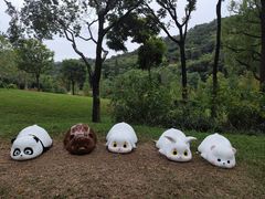 -云溪植物园