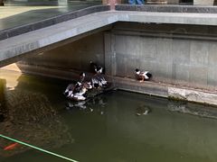 -浙江省博物馆(孤山馆区)