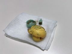 -谐和贝康宠物医院24小时·宠保定点(急重症转诊中心)