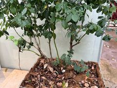 -外滩·云南人家(昆明旗舰店)