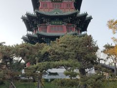 -迎泽公园