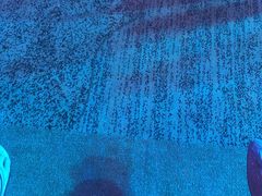 -三亚湾红树林国际会展中心(演出售票)