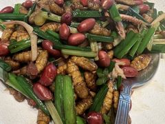 -侨美·唐荔园·40年地道粤菜