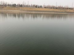 -咸阳湖景区