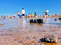 -巧克力渔家.小船海鲜胶东菜(万平口店)