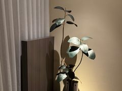 -木兰逸•泰式按摩•头疗•SPA(车公庙店)