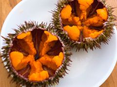 -海胆小馆(东北水饺·春柳店)