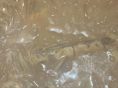 -小放牛河北菜(长安万达店)