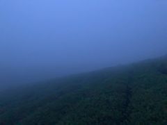 -东白山