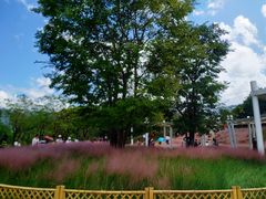 -牛岗山公园