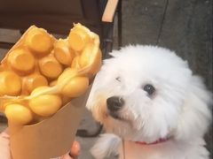 -包工仔·牛杂自助放题