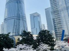 -上海中心大厦