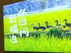 -杨厨的田园饭店(长城路店)