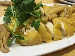 三黄鸡-瑞记湛江鸡饭店·粤西第一鸡(粤垦店)