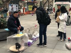 -星巴克臻选(南京艾尚天地店)