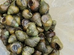 -飞来湖湿地公园