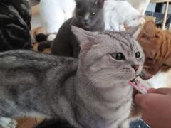 -平行世界·猫咖(首经贸店)