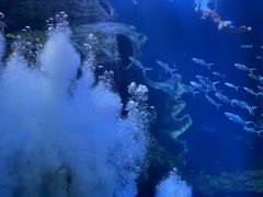 -多彩贵州城极地海洋世界