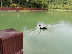 -广州白江湖森林公园