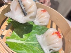 -迦南苑·新派青岛菜·生日纪念日主题餐厅