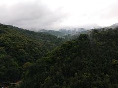 -九龙江国家森林公园