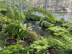 -罗红摄影艺术馆