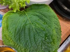 -香猪坊(五道口店)