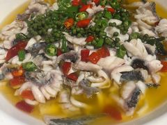 -三猫黑鱼花(南大店)
