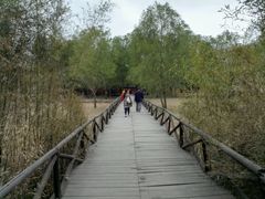 -微山湖红荷湿地景区