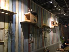 -小时光咖啡馆(开森度假森林店)
