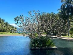 -柏悦酒店-沁园牛排海鲜西餐厅