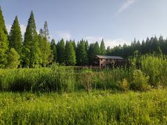 -黄海国家森林公园