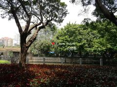 -晓港公园
