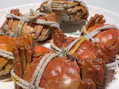 -杨氏青龙虾·羊蝎子(金盛路总店)