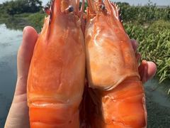 -七的湖·江南蟹舫·阳澄湖农家菜(蟹舫苑店)